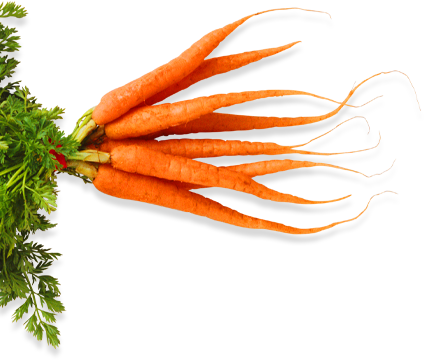 orange carrots